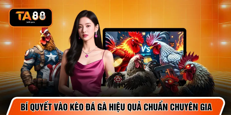 Bí quyết vào kèo đá gà hiệu quả chuẩn chuyên gia