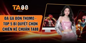 Đá Gà Đòn Thomo - Top 5 Bí Quyết Chọn Chiến Kê Chuẩn TA88