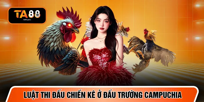 Luật thi đấu chiến kê ở đấu trường Campuchia