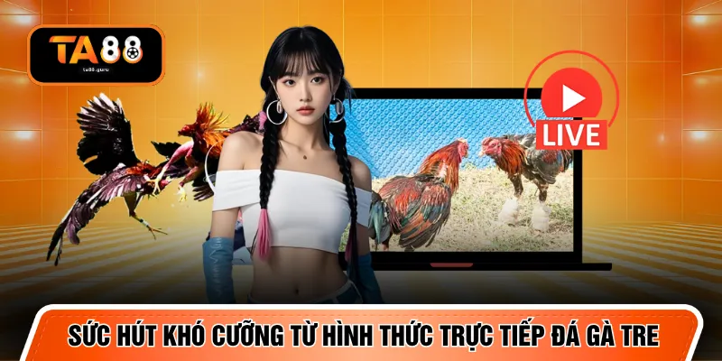 Sức hút khó cưỡng từ hình thức trực tiếp đá gà tre