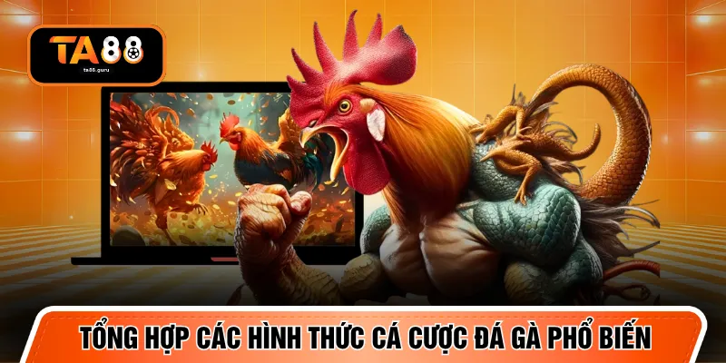 Tổng hợp các hình thức cá cược đá gà phổ biến